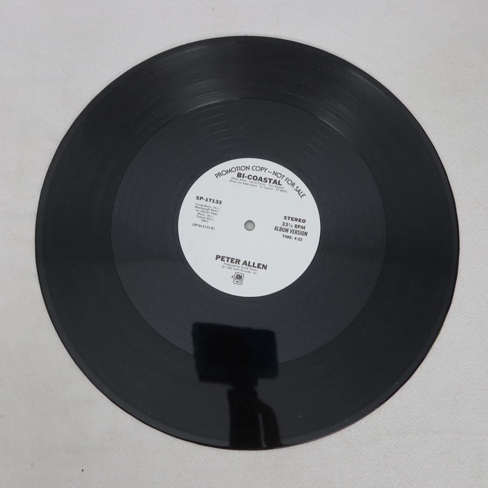 Peter Allen Bi Coastal PROMO SINGLE Vinyl Record Album Foto 4 de 4