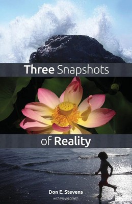 Don E. Stevens | Three Snapshots of Reality | Taschenbuch | Englisch (2014)