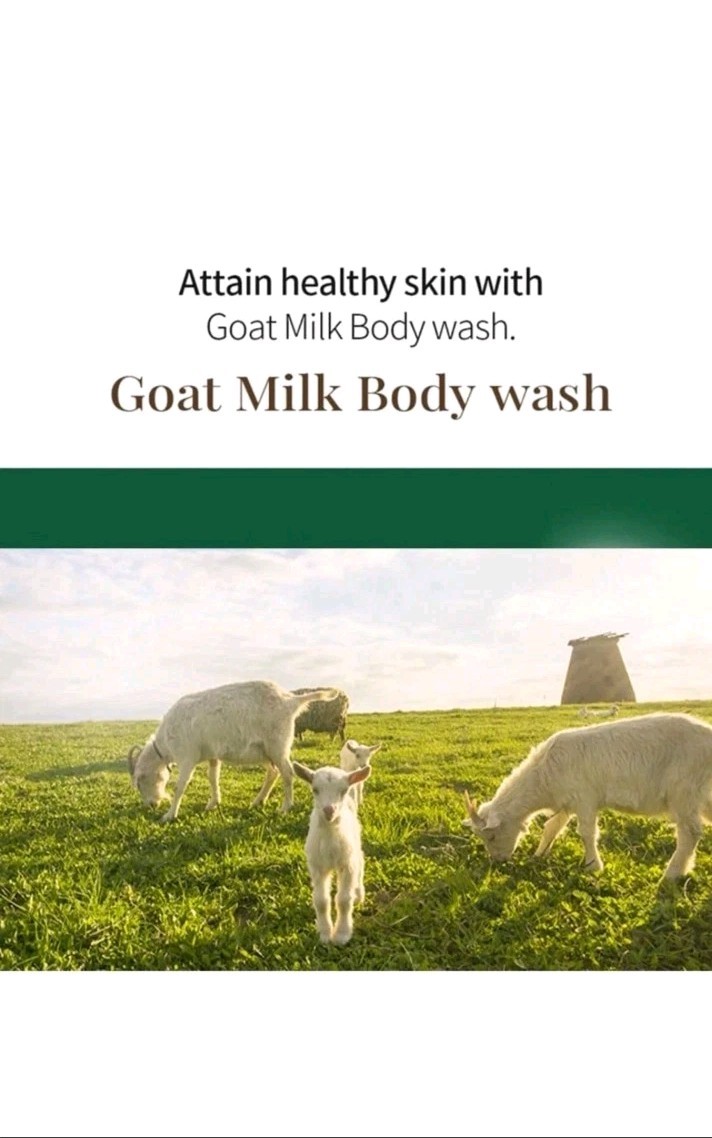 Soothing & Nourishing | Goat Milk Strawberry Body Wash from Shower Mate – 27.1