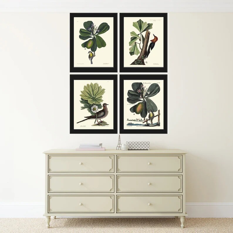 Vintage Bird Wall Art Print Set of 4 Beautiful Antique Green Trees ...