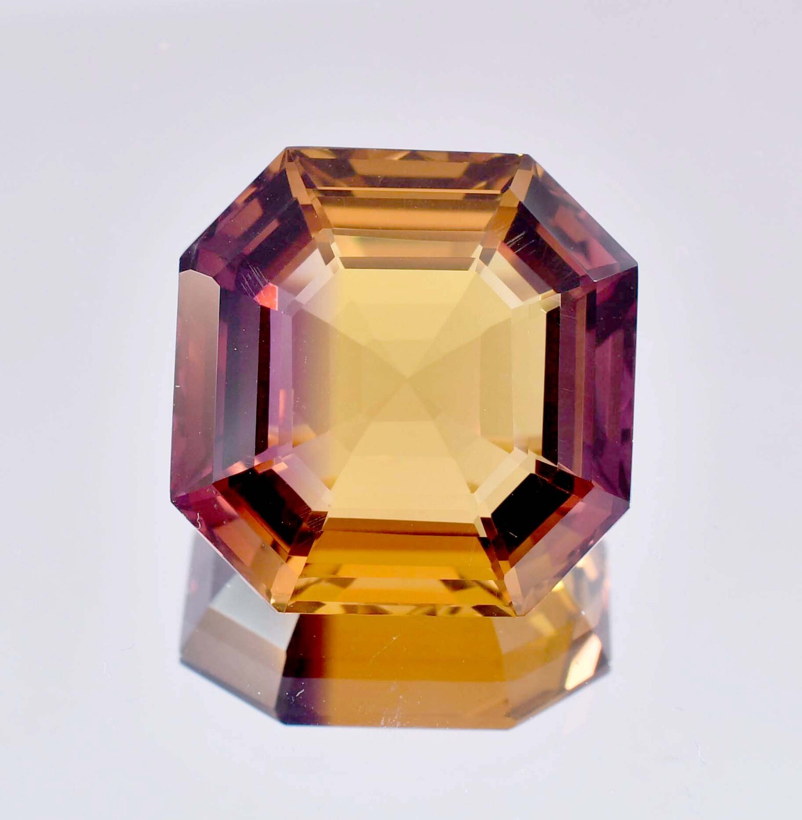 Foto 2 di 7