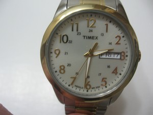 timex wr30m band