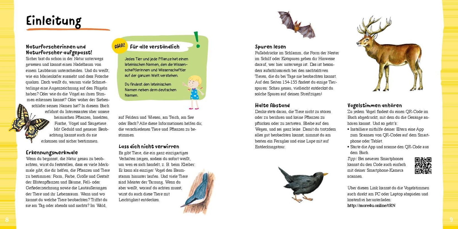 Thumbnail - Tiere Und Pflanzen Entdecken Mit 38 Vogelstimmen Als Qr-codes: