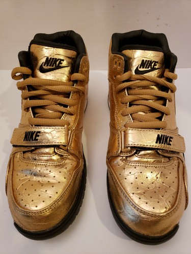 nike air trainer 1 agassi