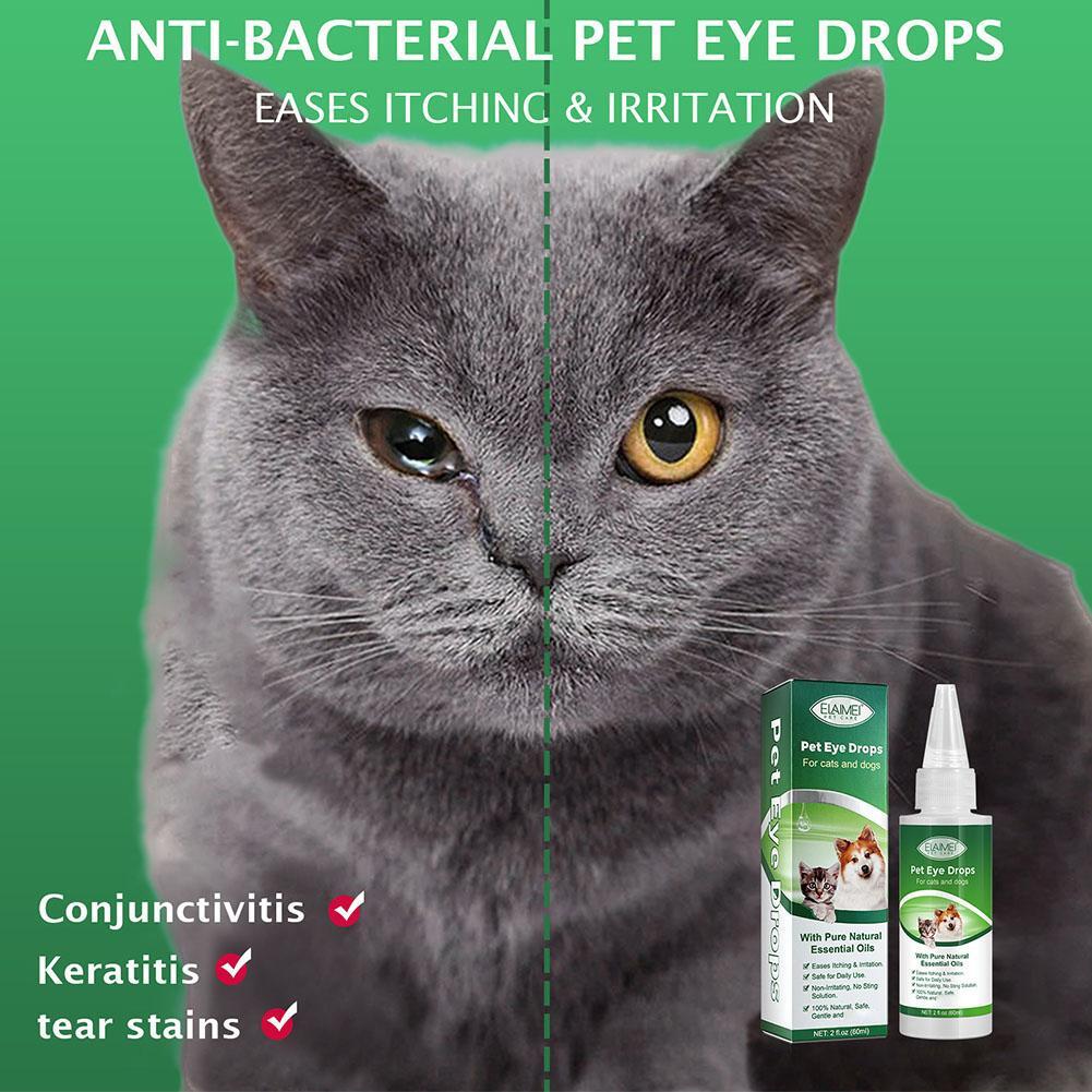 Conjunctivitis Medicine In Cats Ektek Pharma Moxipet Eye Drops For