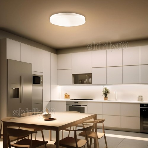 Lampa sufitowa LED Lampa sufitowa Łazienka Salon Kuchnia Piwnica Łazienka Lampa Sufit - Zdjęcie 14 z 46