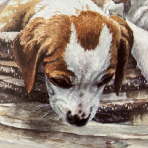 Beagle Puppies edición limitada estampado ""Over The Top"" por Jo Campin 96/850 1996 - Imagen 12 de 18