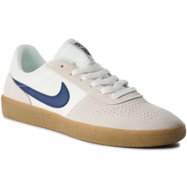 team classic nike sb