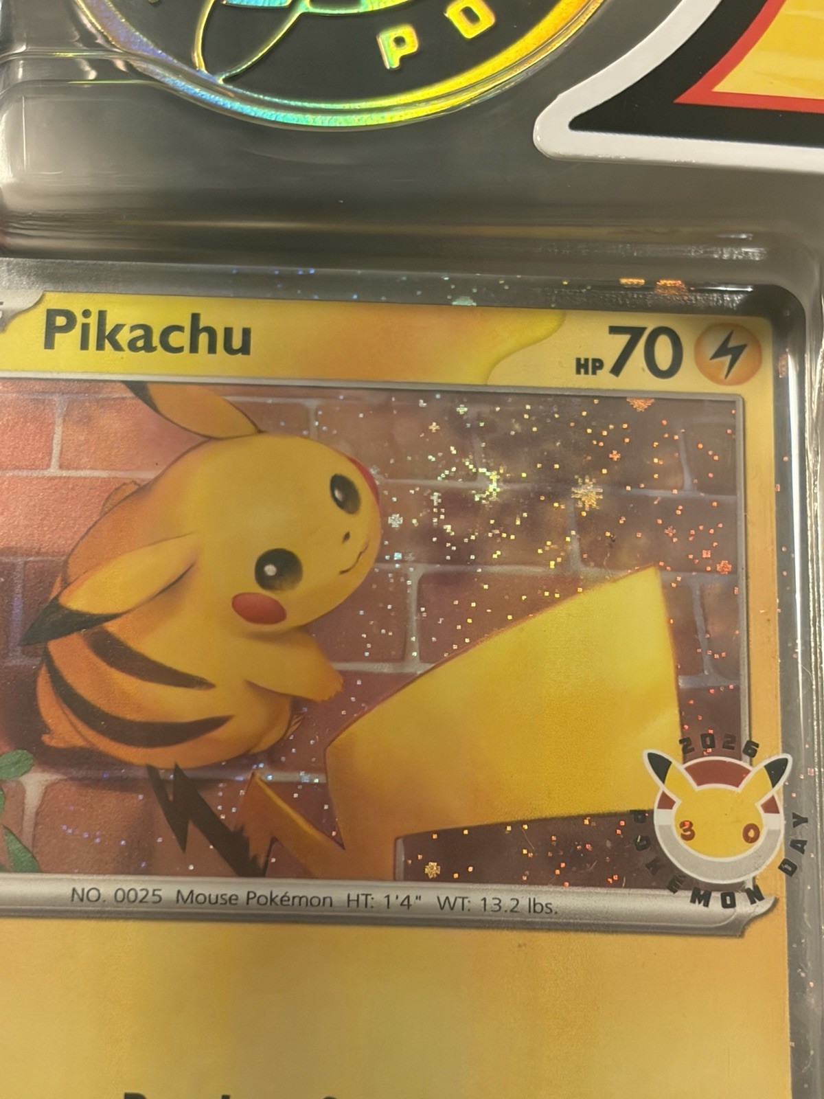 Pokémon Day 2026 Collection Box 🌀Swirl Pikachu🌀