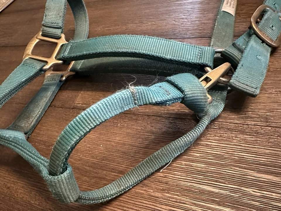 Horse Tack - Soporte de nailon verde azulado BMB Foto 4 de 4