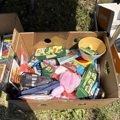 Flohmarkt Restposten Kiste im Karton mit diversen Artikeln (unsortiert)
