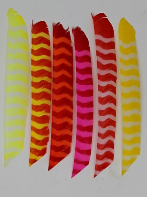 Trueflight Full Length Bright Stripes Feathers, Dozen Packs