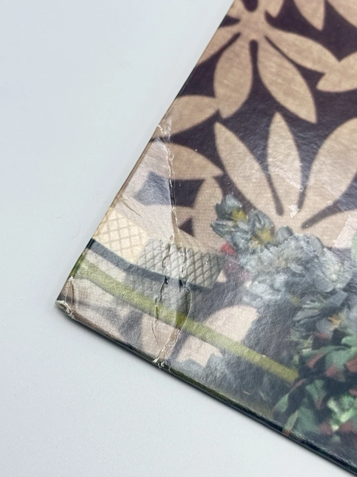 Camera Obscura Let’s Get Out Of This Country Vinyl LP 2006 Merge Records Elefant Foto 2 de 4