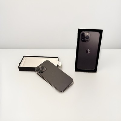 iPhone 13 Pro Max 256GB Graphit   OVP   voll funktionsfähig   TOP Preis