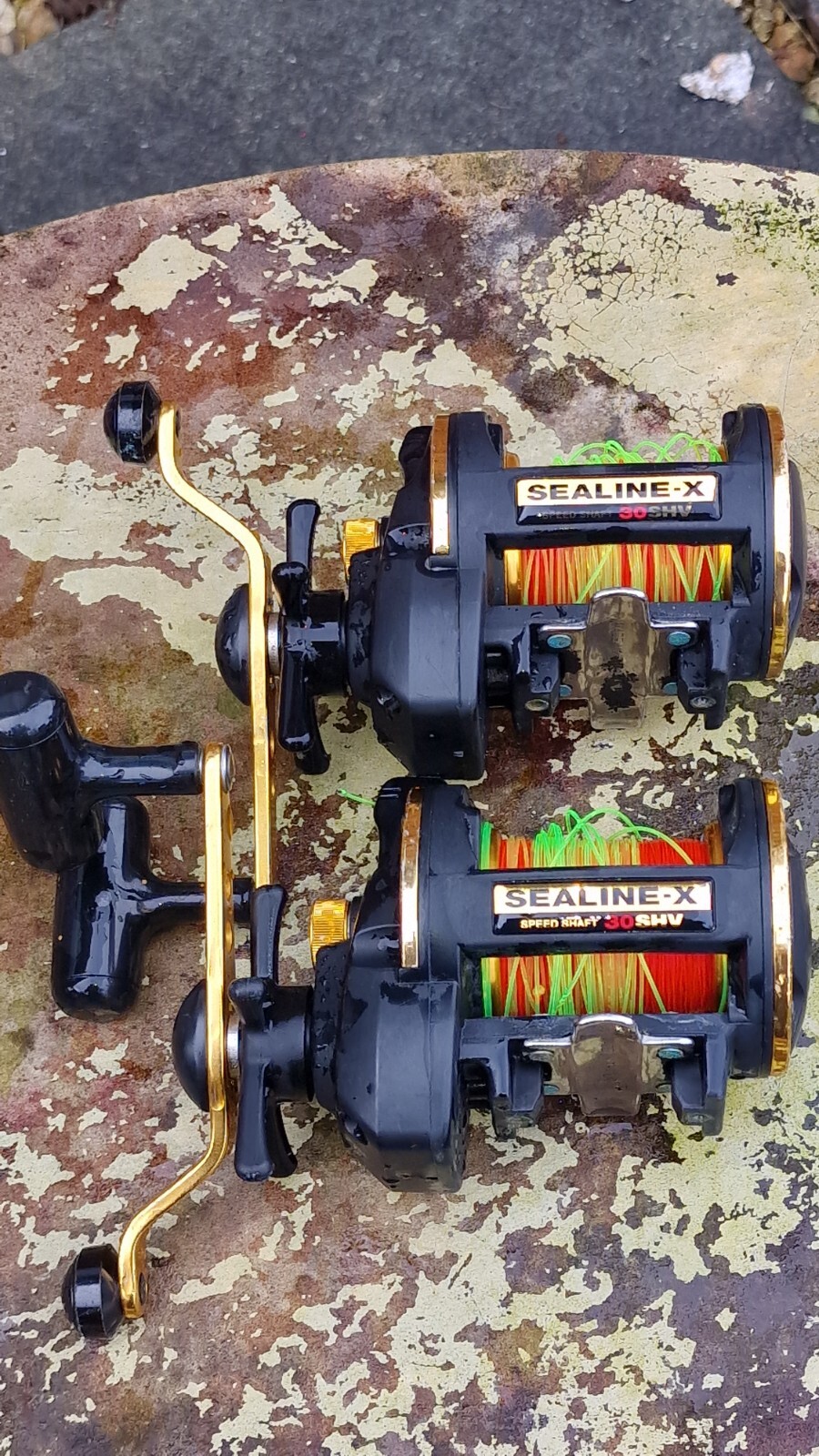 Diawa Sealine X SHV 30 Fishing Reels eBay