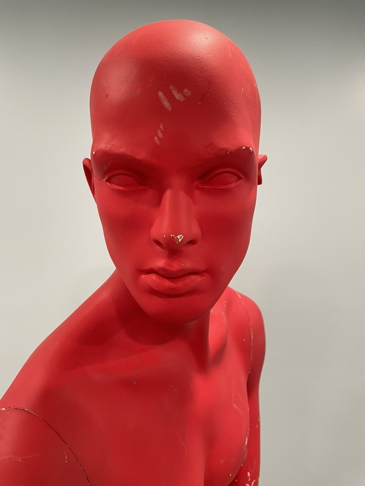 Used Adel Rootstein Male Mannequin YR7 Brandon -The Young & Restless ...