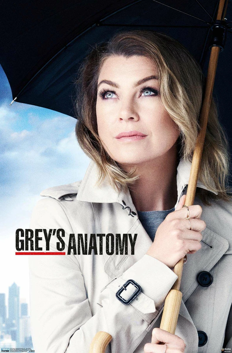 Grey's anatomy season 12 online free sale