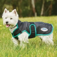 WeatherBeeta Comfitec Windbreaker Free Deluxe Dog Coat - Black/Green