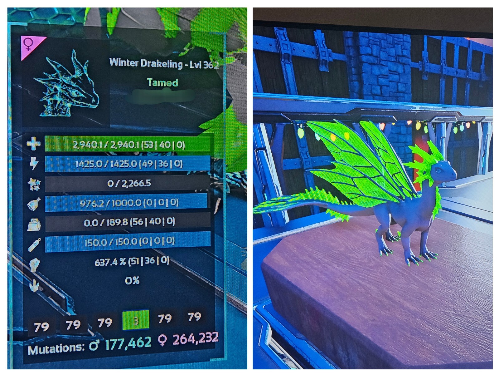 Ark Survival Ascended PVE Official Level 362 Winter Drakling (Eggs)