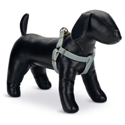 Designed by Lotte Nylon Geschirr Virante mint für Hunde, verstellbar & stylish