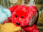 Bild 4 von 12