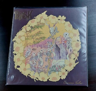 Bask  ''American Hollow''  Vinyl/LP  grün
