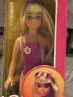Mattel Sunsational Malibu Skipper Fashion Doll 9" 1981 No. 1069 Box NBPW — photo 2