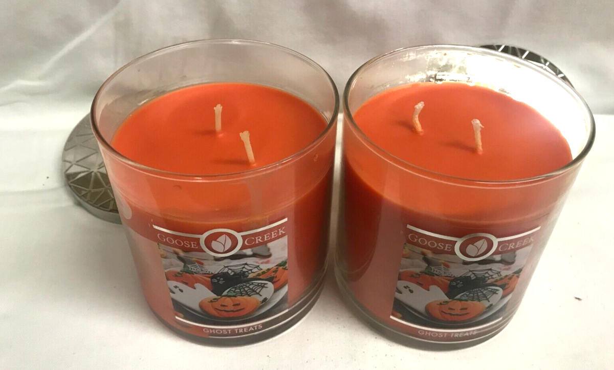 goose creek candle キャンドル　2芯　ジャー　グース　クリーク Goose Creek WORLD TRAVELER candles 2 wick 16 oz Tumbler- You
