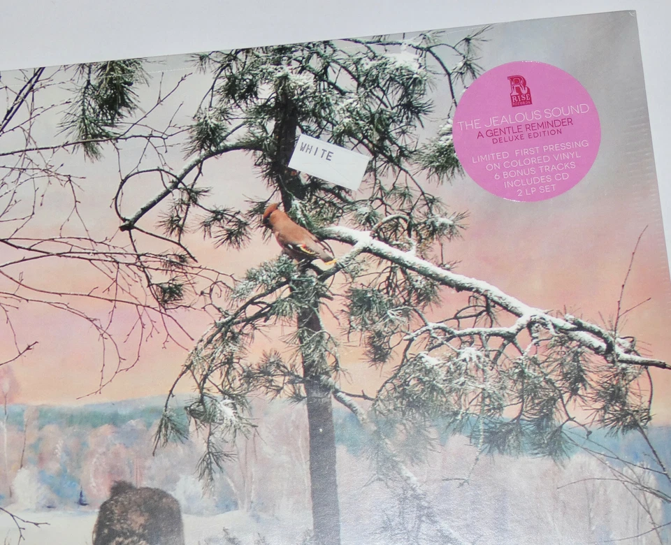 THE JEALOUS SOUND A Gentle Reminder WHITE VINYL 2xLP /500 SEALED knapsack samiam Foto 2 de 3