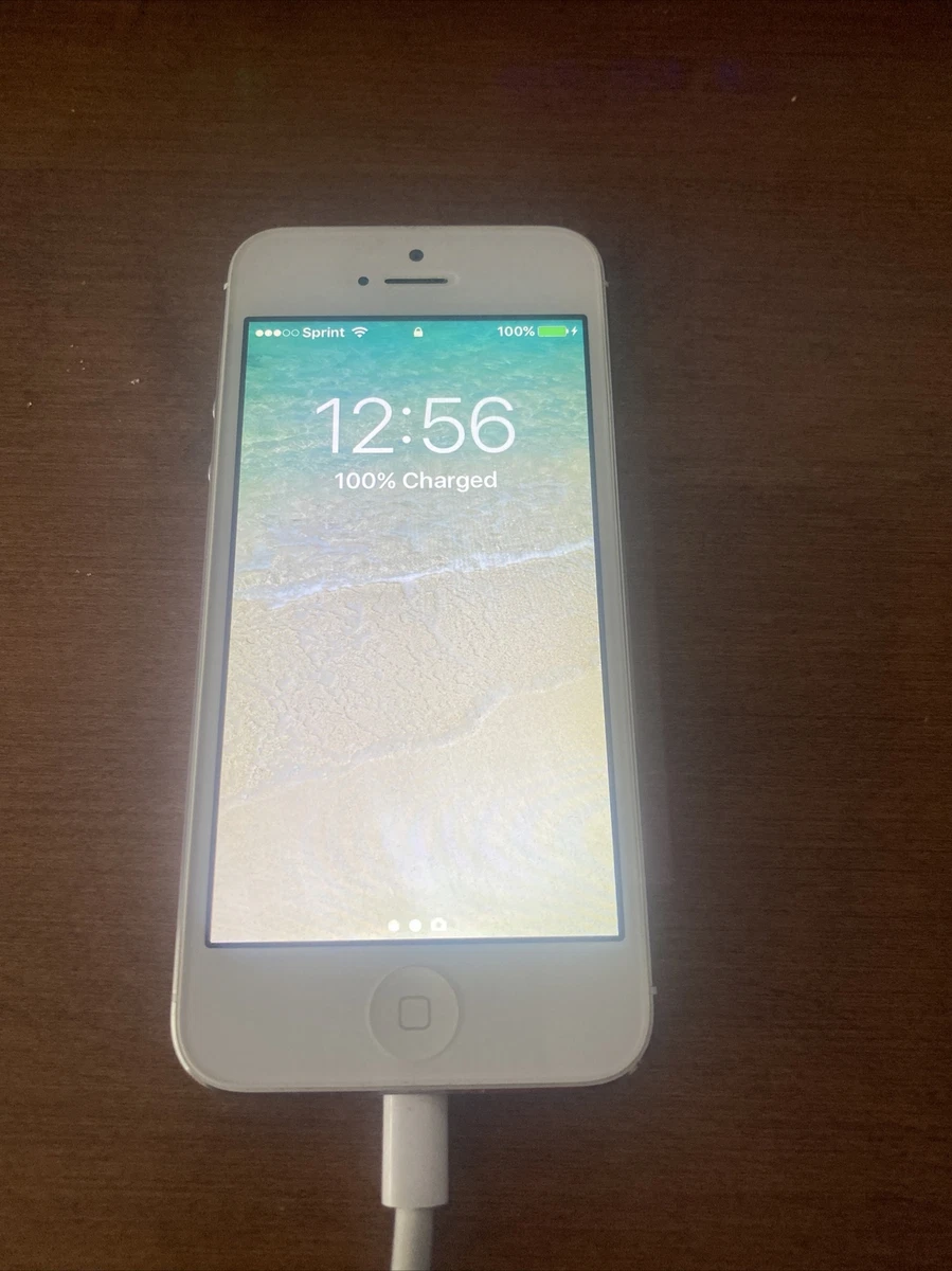 Iphone 5c White Screen