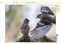 Calvendo Puzzle Chaffinches Feeding | 1000 Pieces, Finished Size 25.2 × 18.9 In