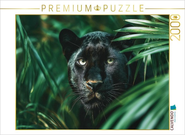 Calvendo Puzzle Black Panther, The Night Has Eyes | 2000 Pieces, Finished Size 3-image