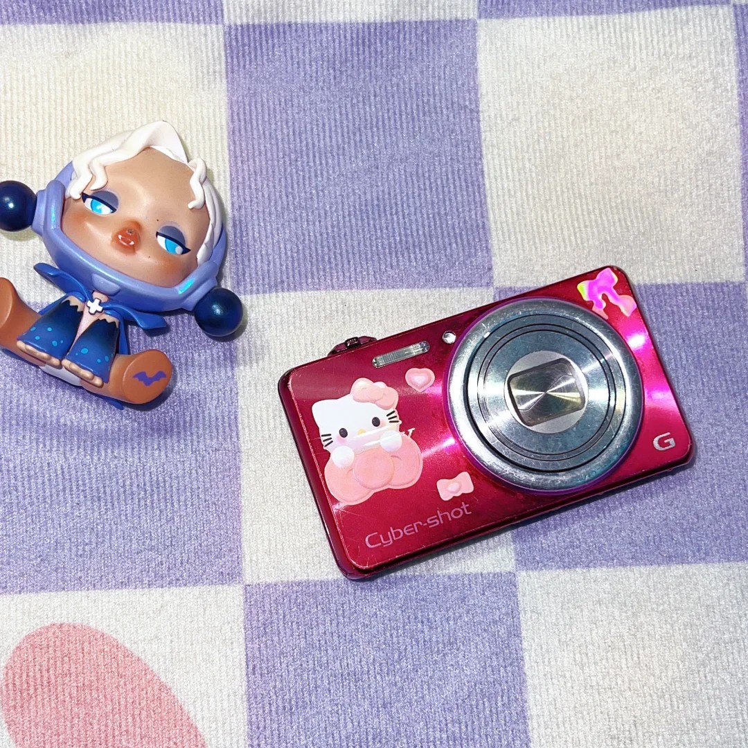Sony Cyber Shot DSC-WX170 Digital Camera10x Zoom 18.2 Megapixel