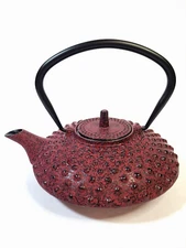 NEW BergHOFF Cast Iron 0.85-Quart Teapot 