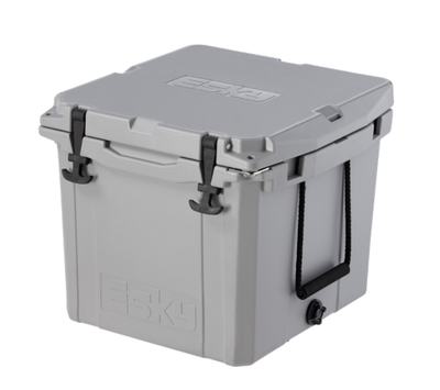 coleman chair with cooler