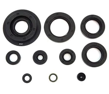 Engine Oil Seal Kit - Honda GL1100 Gold Wing Goldwing - 1980 - 1981 10 Seals Set
