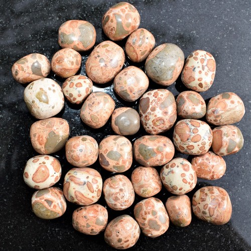 CHARGED Leopardskin Jasper Tumbled Pendant + 20" Stainless Steel Chain &Charger - Picture 5 of 11