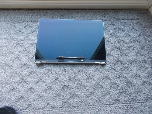 Macbook Pro 13" A1706 A1708 Space Gray Display Screen LCD D+ Grade Case B - product listing photo