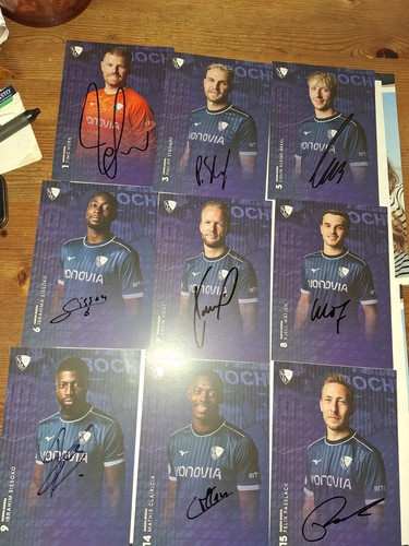 30 Autogrammkarten Autogramme VfL Bochum 2025/26 25/26 DFB EM WM