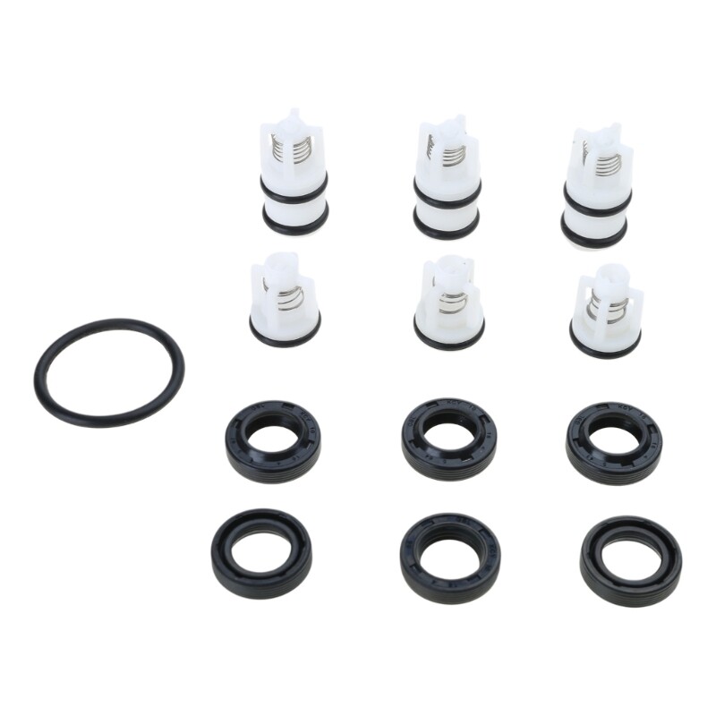 Seal Oil Check Valve Repair Kit for 220V High Pressure Pump