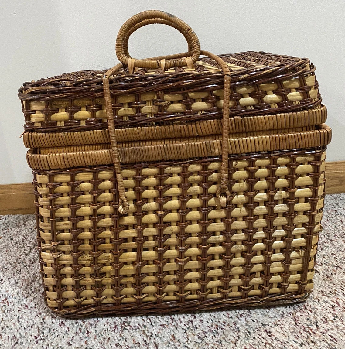 Translucent Nordic Storage Baskets with Handles