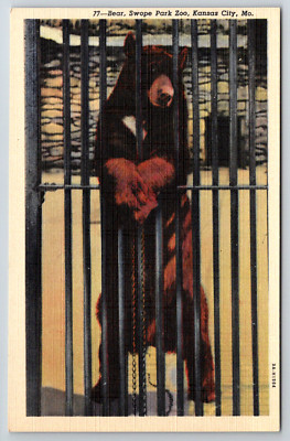 c1940s Bear Swope Park Zoo Kansas City MO Max Bernstein Post Card Linen