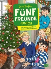 Fünf Freunde JUNIOR - Die verschwundenen Weihnachtspäckchen Für Leseanfänger ...
