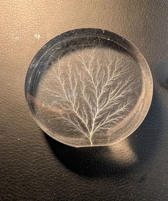 Lichtenberg Figure in Clear Resin Base