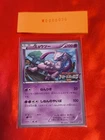 Mewtwo Battle Festa 2015 176/XY-P 202/XY-P  Pokemon Promo Card
