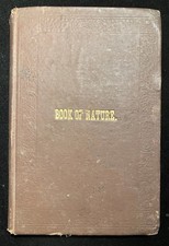  on The Hot Collector