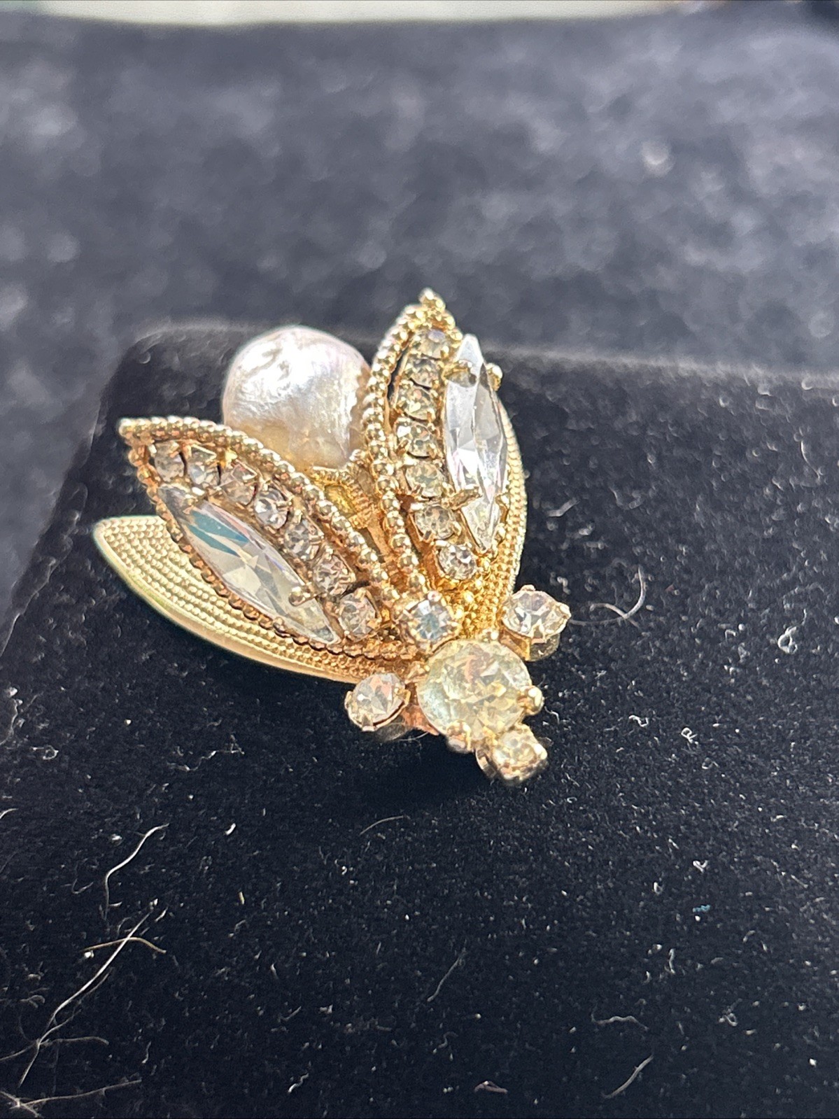 Bug Brooch - image 3