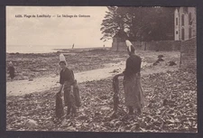 Postcard RPPC, France, Loctudy Beach, Drying of Goëmon