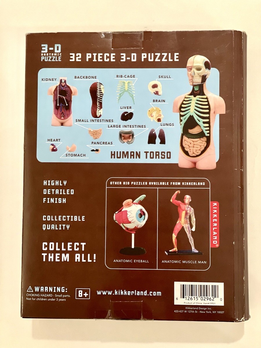 人体模型 KIKKERLAND ANATOMIC PUZZLE HUMAN TORSO Kikkerland Anatomic Model Human Torso 3D Anatomic Puzzle