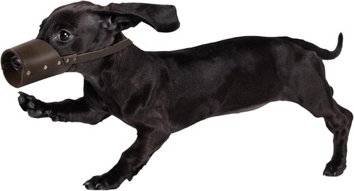 Durable Full Grain Leather Dog Muzzle for Puppies - Prevent Biting and Chewing - Picture 5 of 7